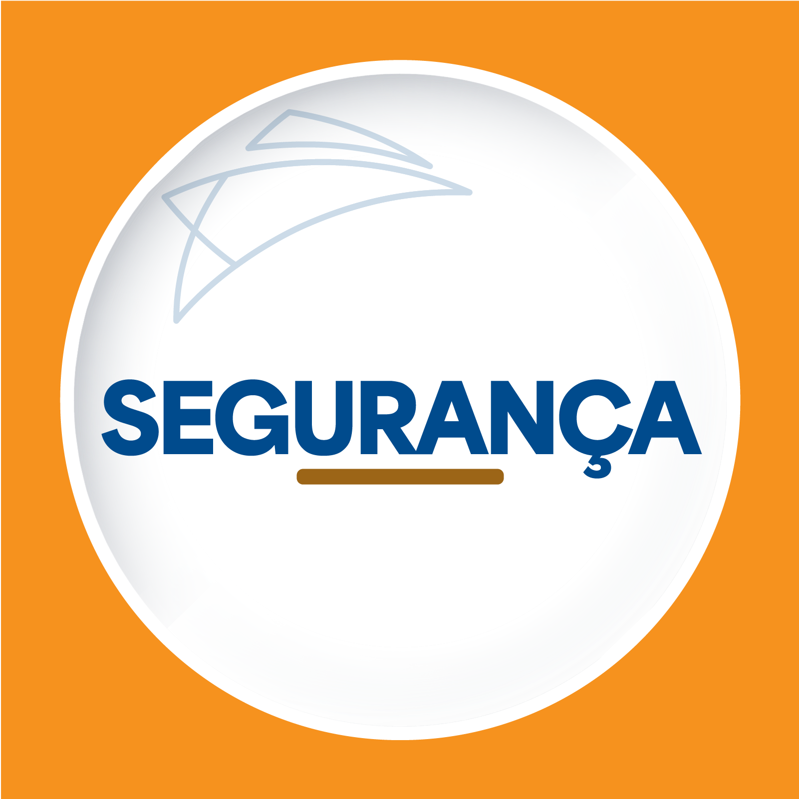 Segurança